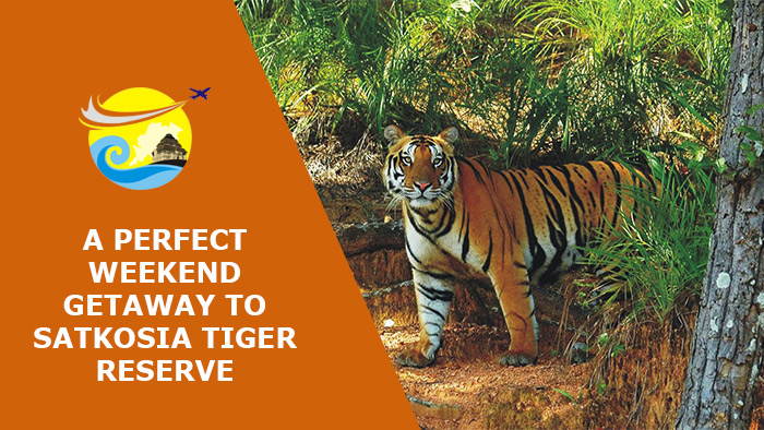 A-Perfect-Weekend-Getaway-to-Satkosia-Tiger-Reserve
