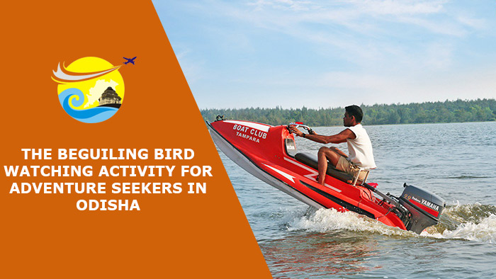 The-Beguiling-Bird-Watching-Activity-for-Adventure-Seekers-in-Odisha
