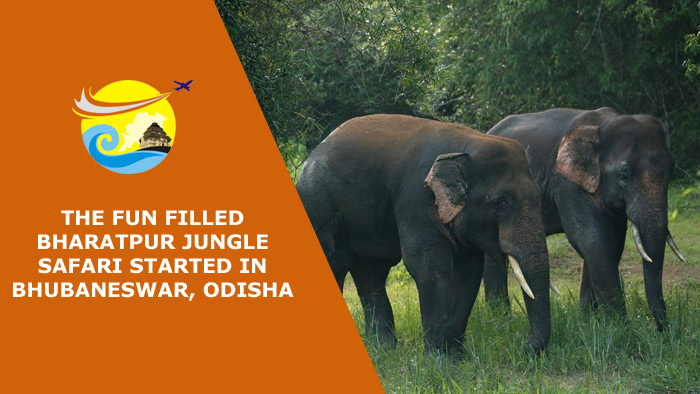 The Fun Filled Bharatpur Jungle Safari Started in Bhubaneswar