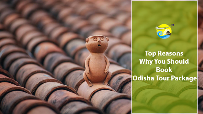 Top-Reasons-Why-You-Should-Book-Odisha-Tour-Package