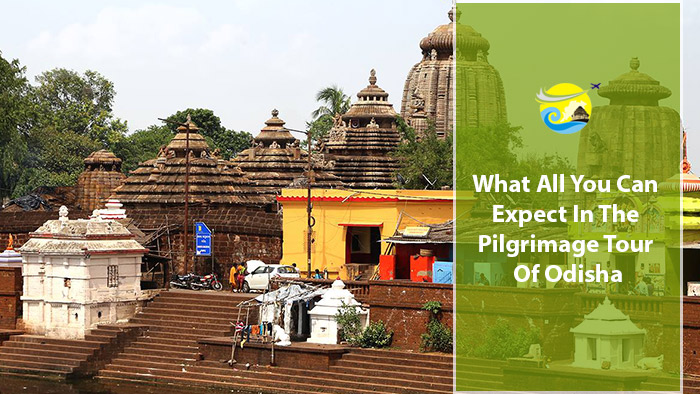 What-All-You-Can-Expect-In-The-Pilgrimage-Tour-Of-Odisha