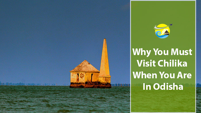 Why-You-Must-Visit-Chilika-When-You-Are-In-Odisha
