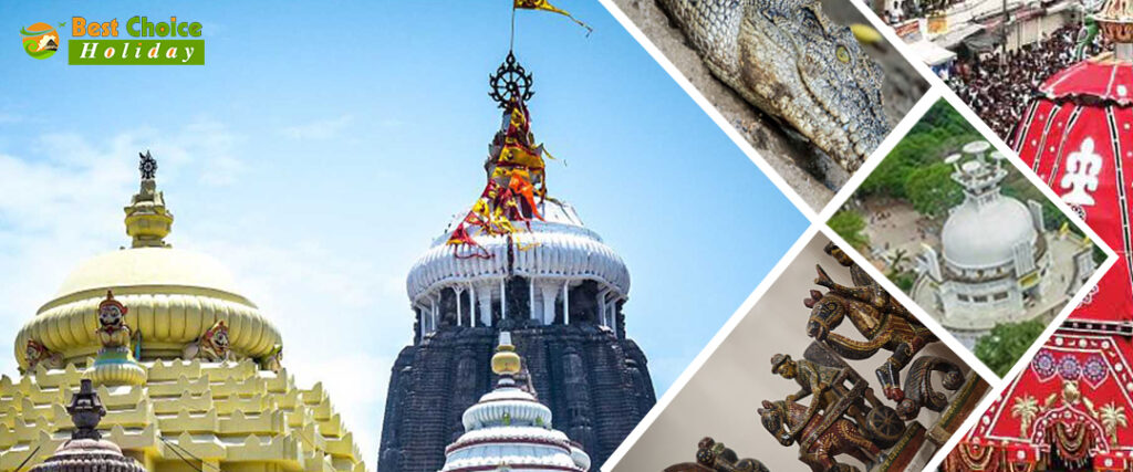 Make your family happy by visiting a tour in Odisha