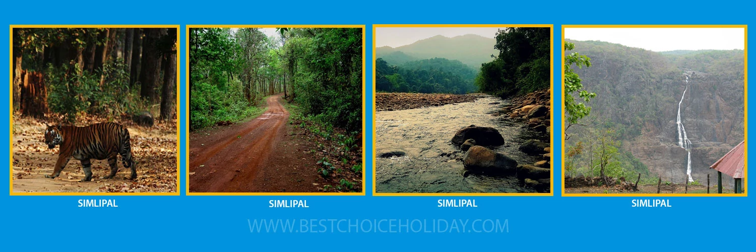simlipal-national-park-tour